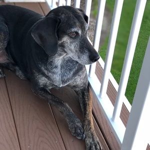 Meet your Posher, Carla